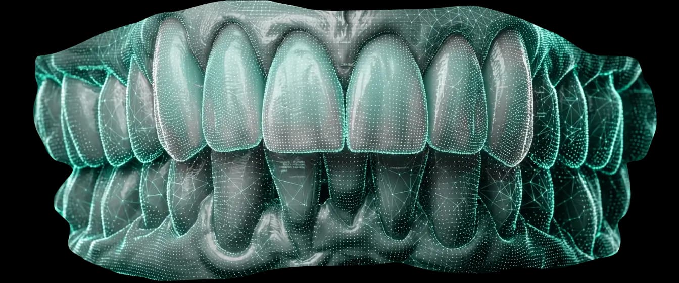 Teeth Model
